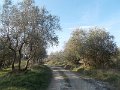 DSCN9718