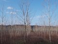 DSCN9724
