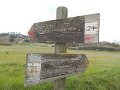 DSCN9741