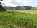 DSCN9762