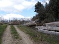 DSCN9767