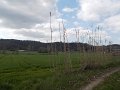DSCN9768