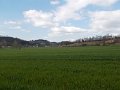 DSCN9770