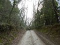 DSCN9775