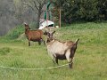 DSCN9784