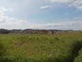 DSCN9831