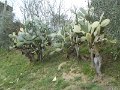 DSCN9845