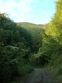 DSC00004