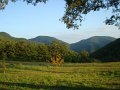 DSC00014