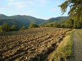 DSC00018