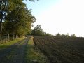 DSC00019
