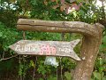 DSC09820