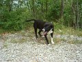 DSC09828
