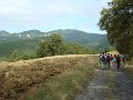 DSC09843