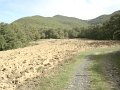 DSC09850