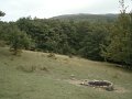 DSC09865
