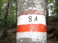 DSC09867