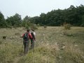 DSC09870