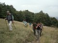 DSC09873