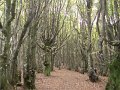 DSC09893