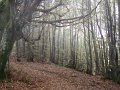 DSC09895