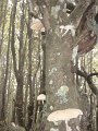 DSC09898