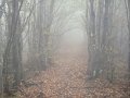 DSC09908