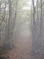 DSC09909