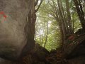 DSC09935