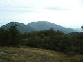 DSC09952