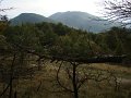 DSC09959