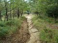 DSC09965