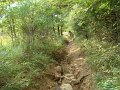 DSC09968