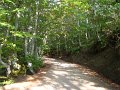 DSC09976