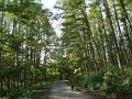 DSC09978