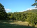 DSC09986