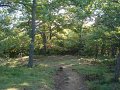 DSC09987