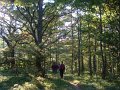 DSC09988