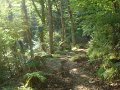 DSC09992
