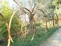 DSC02019