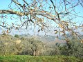 DSC02036