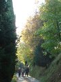 DSC02046