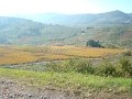 DSC02072