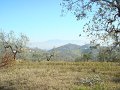 DSC02079