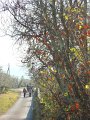 DSC02085