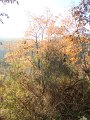 DSC02093