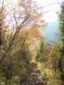 DSC02095