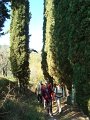 DSC02112