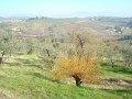 DSC02113