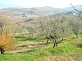 DSC02114